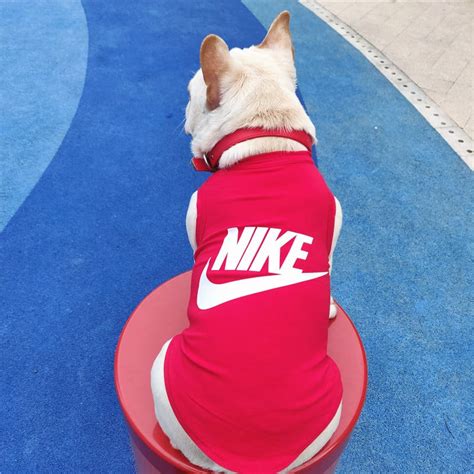 nike dog accessories